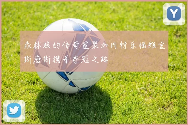 森林狼的传奇重聚加内特乐福维金斯唐斯携手夺冠之路